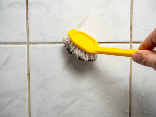 Best Bathroom Mold Remediation in Olivet, MI
