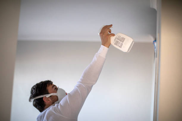 Best Residential Mold Remediation in Olivet, MI