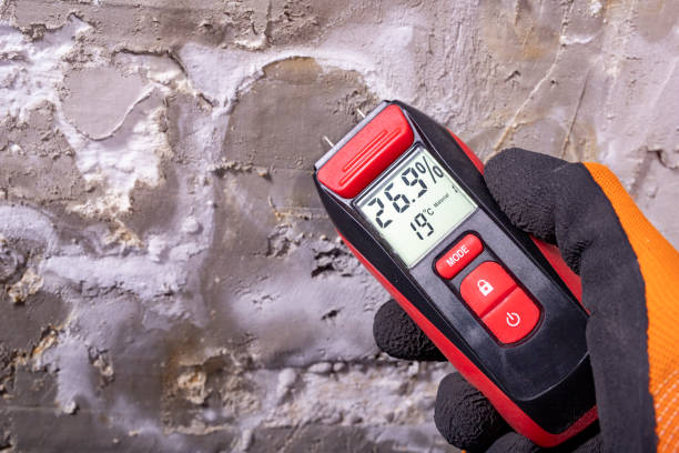 Reliable Olivet, MI Mold Remediation Solutions