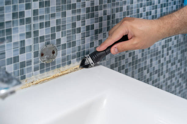 Best DIY Mold Remediation Support Services in Olivet, MI